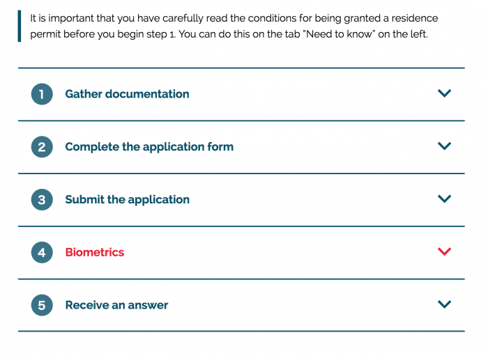 1〜5の申請ステップ（デンマーク入国局のワーホリ申請ページ）